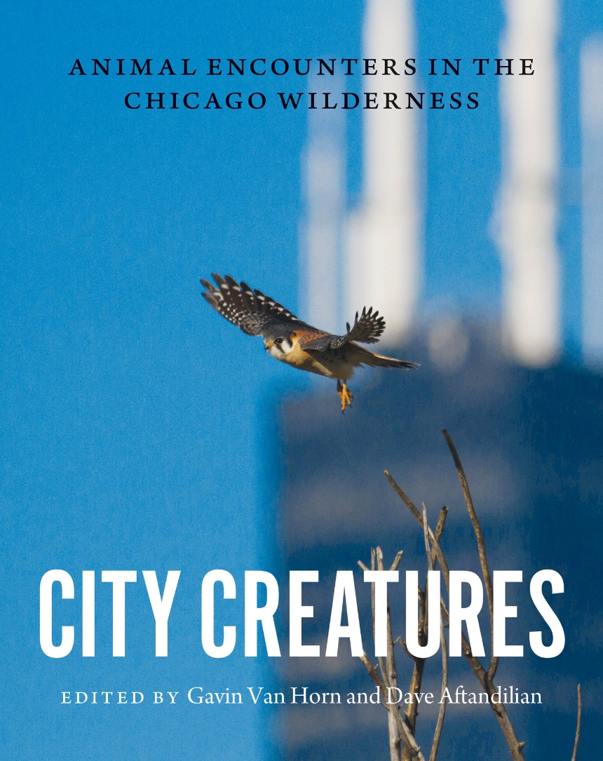 City Creatures
