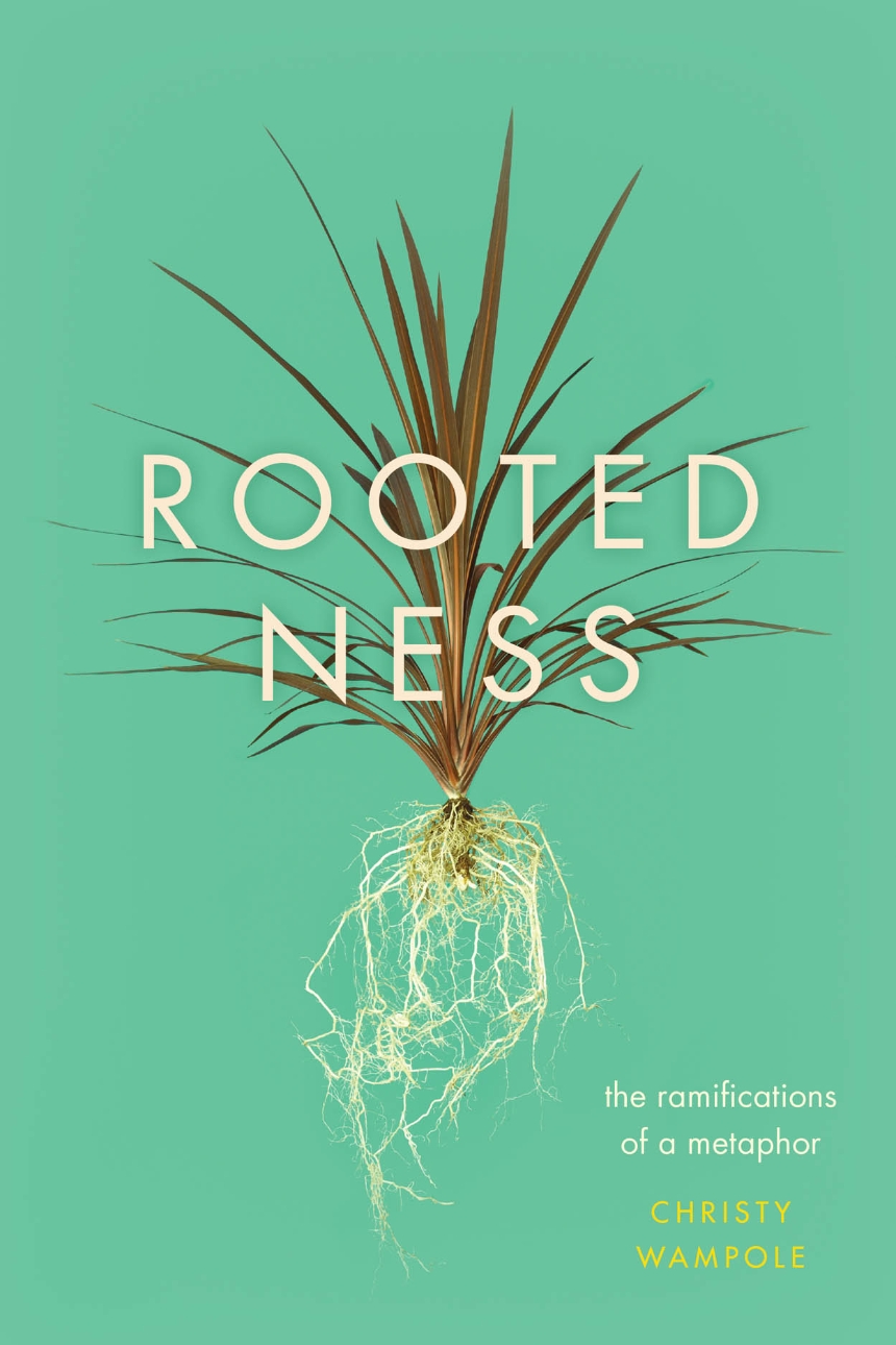 Rootedness