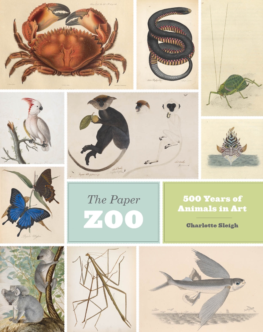 The Paper Zoo