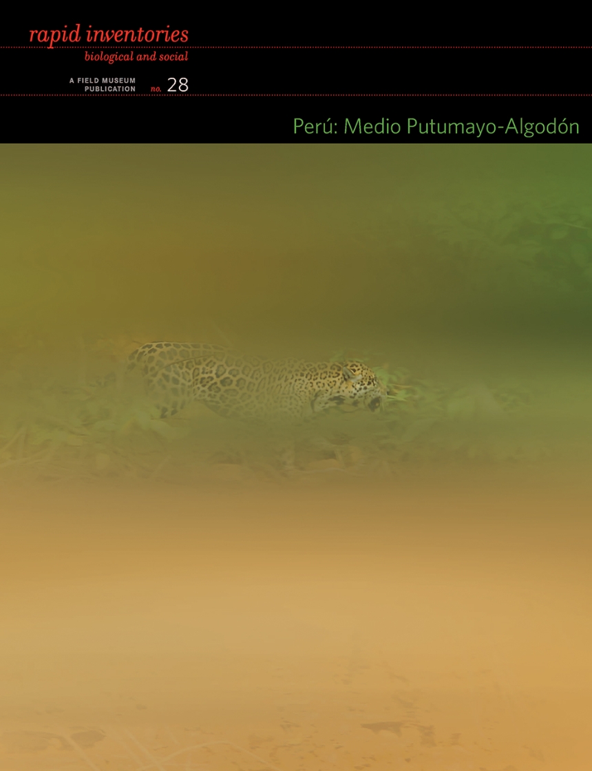 Perú: Medio Putumayo-Algodón