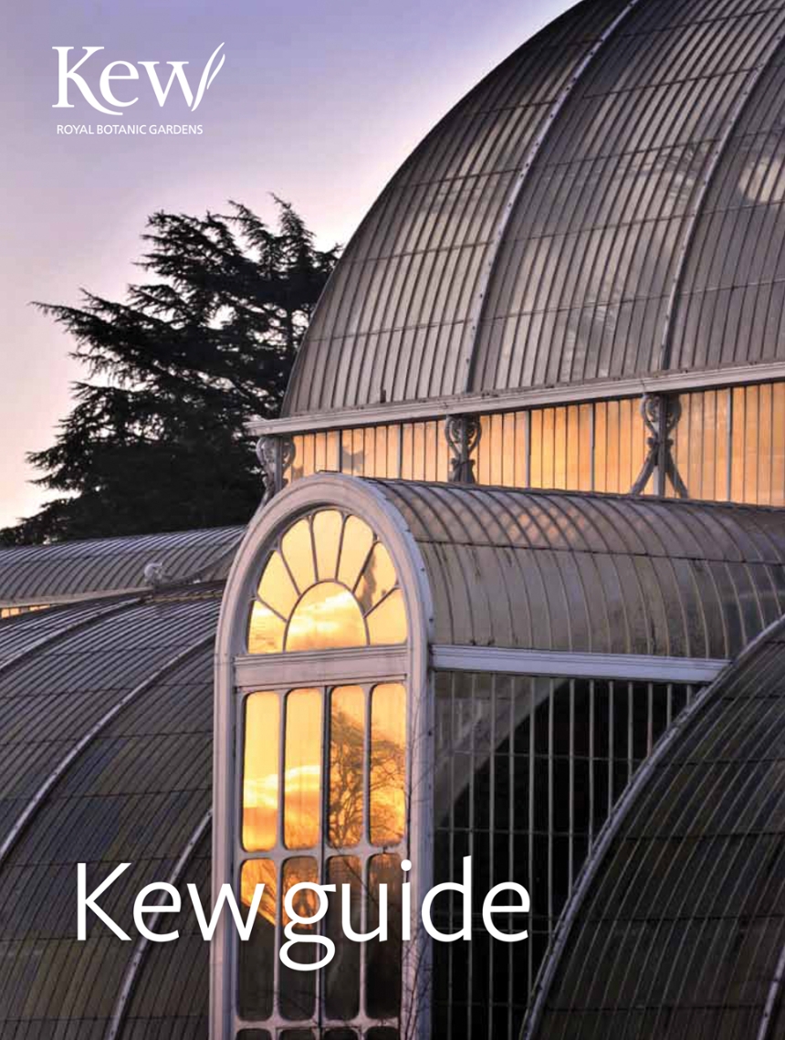 Kew Guide