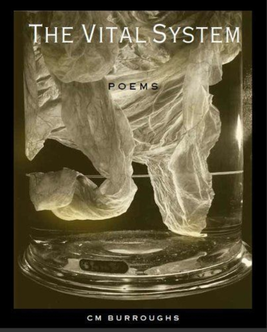 The VITAL SYSTEM