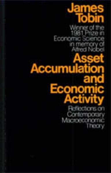 Asset Accumulation and Economic Activity: Reflections on Contemporary Macroeconomic Theory