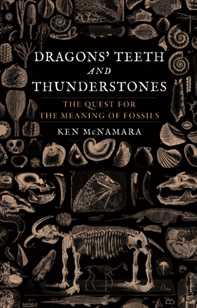 Dragons’ Teeth and Thunderstones: The Quest for the Meaning of Fossils