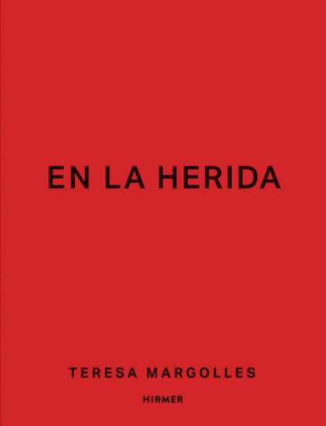Teresa Margolles: En la Herida